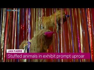 Showcase: Animal Abuse or Contemporary Art?