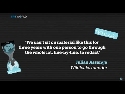 Wikileaks Anniversary: Website accused of putting civilians at risk