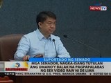 Mga senador, nagka-isang tutulan ang umano'y balak na pagpapalabas ng sex video raw ni de Lima