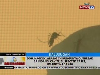 BT: DOH, nagdeklara ng chikungunya outbreak sa Indang, Cavite