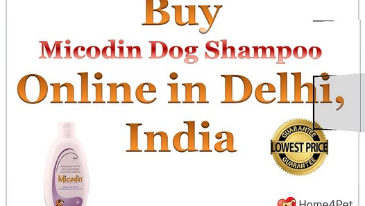 micodin shampoo for dogs price