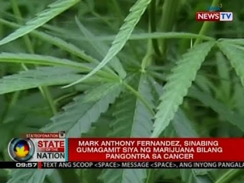 SONA: Marijuana na pinaka-inaabusong droga sa bansa, may benepisyo nga ba sa kalusugan?