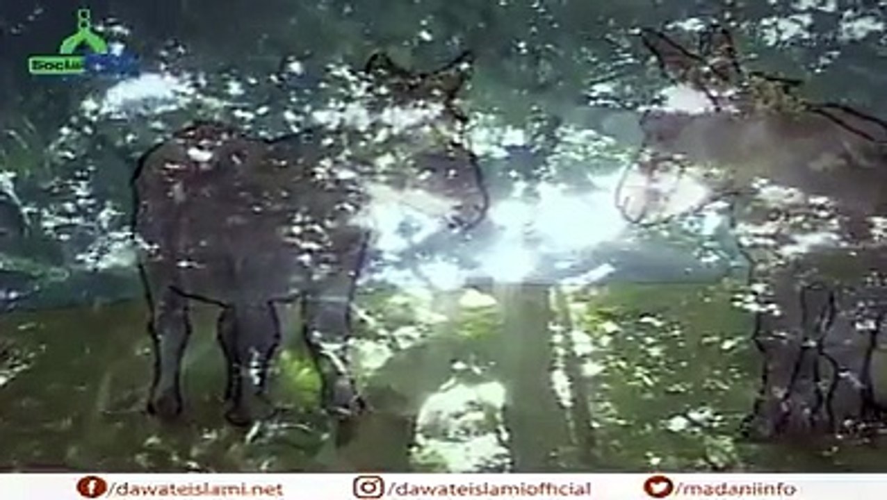 انتہائی خوبصورت کلام انسانیت کے نام ضرور سنیں