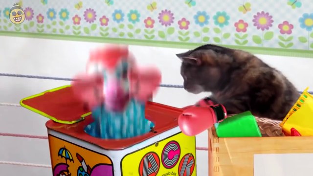 Best of Temptations Funny Cats Commercials Compilation-bYcYeW1zTJU