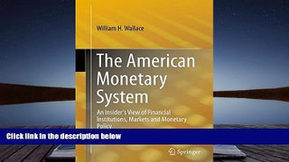 Read  The American Monetary System: An Insider s View of Financial Institutions, Markets and