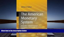 Read  The American Monetary System: An Insider s View of Financial Institutions, Markets and