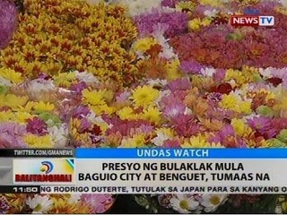 BT: Presyo ng bulaklak mula Baguio City at Benguet, tumaas na