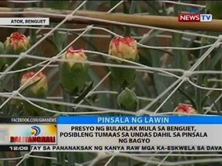 Presyo ng bulaklak mula sa Benguet, posibleng tumaas sa undas dahil sa pinsala ng bagyo