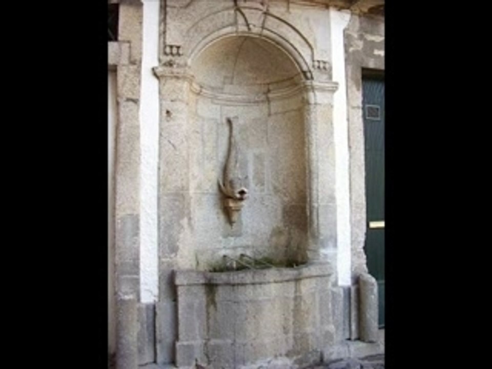 Miragaia