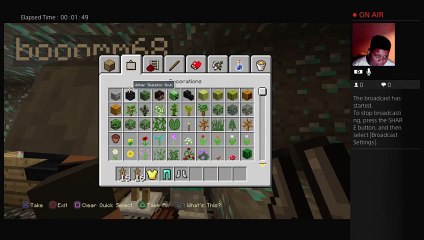 Minecraft with new buddy       craft  bros    our house (51)