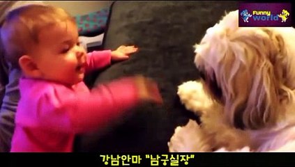 도너츠안마 010.4373.1910 남궁실장