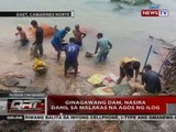 QRT: Ginagawang dam, nasira dahil sa malakas na agos ng ilog