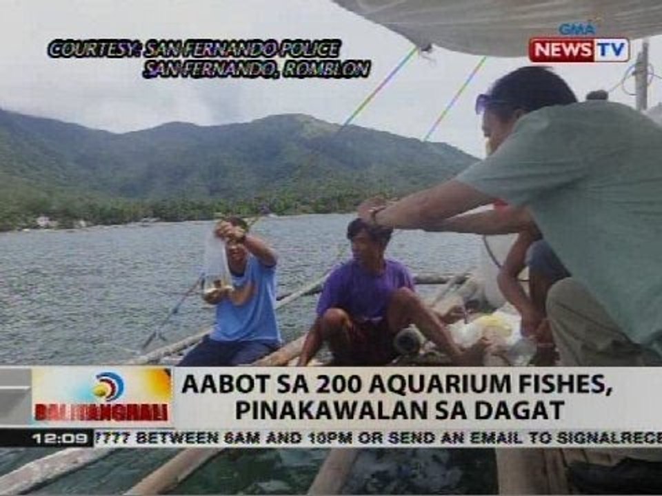 BT: Aabot sa 200 aquarium fishes, pinakawalan sa dagat