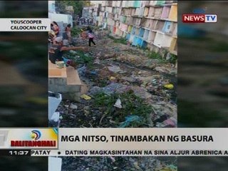 BT: Mga nitso, tinambakan ng basura