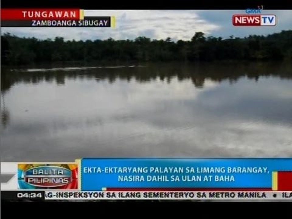 BP: Ekta-ektaryang palayan sa limang barangay, nasira dahil sa ulan at baha