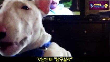 라운드안마 010.4373.1910 남궁실장