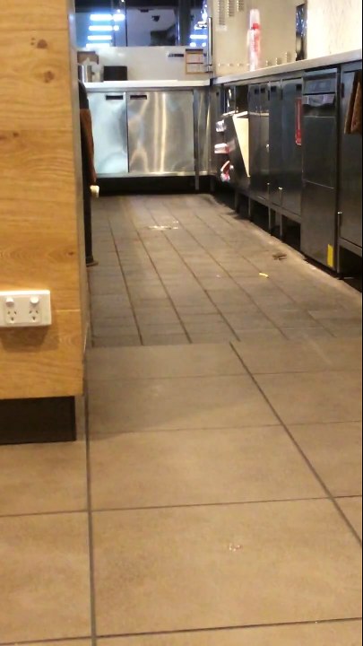 Des souris à McDo... Et en plus elles aiment les frites!
