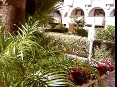 Alpha 5.20 a Cannes aka Little Miami 3025 av Racailles4