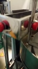 DXDK-100NWD double tea bag packing machine