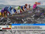 BT: Obra ng Pinoy na si Danila Victoriano, wagi sa 1st prize sa 2016 APEC Photo Contest