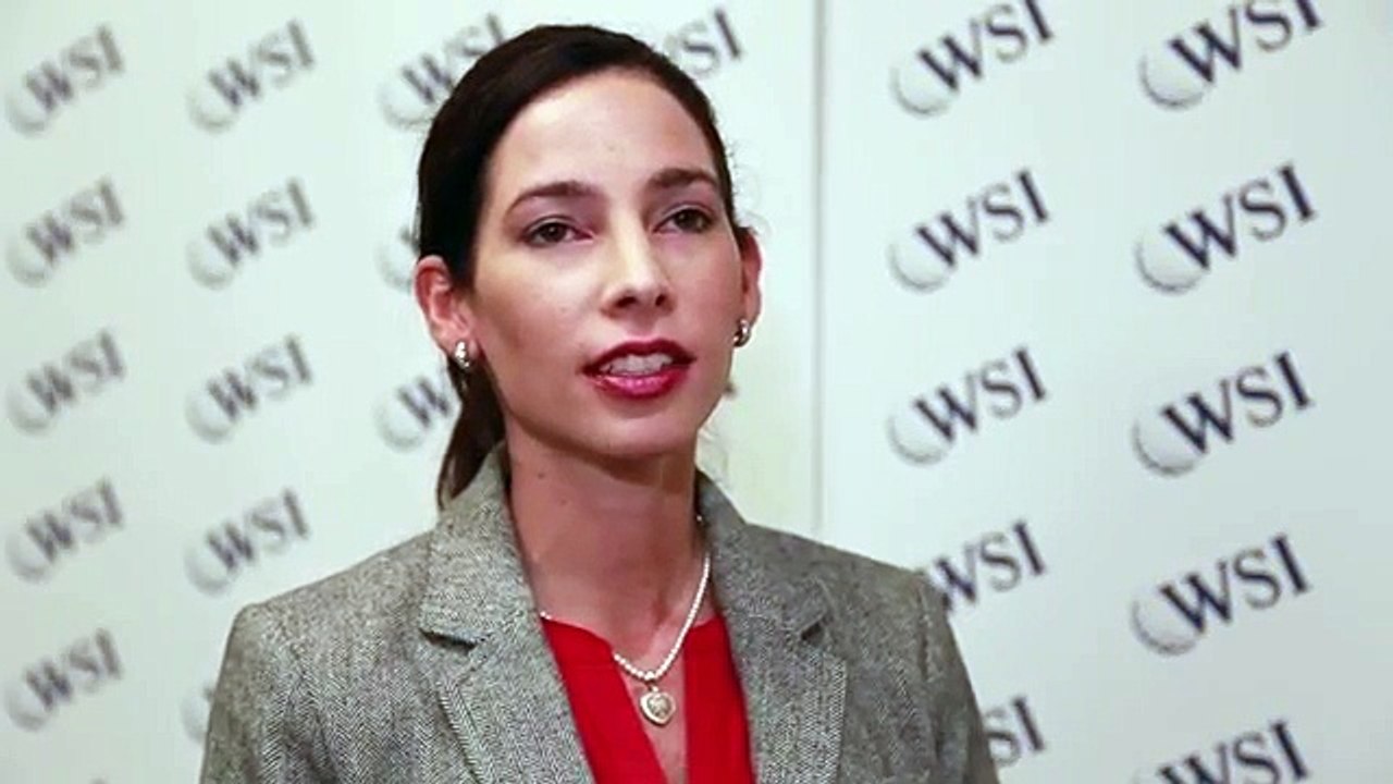 WSI Franchise Critique | WSI Franchise Review | WSI Digital Franchise