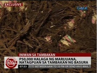 24 Oras: Exclusive: P50,000 halaga ng marijuana, natagpuan sa tambakan ng basura