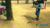 ANIMALS POOPING AT THE ZOO Kid at the ZOO Funny Family Fun Trip to Petting Farm part 3