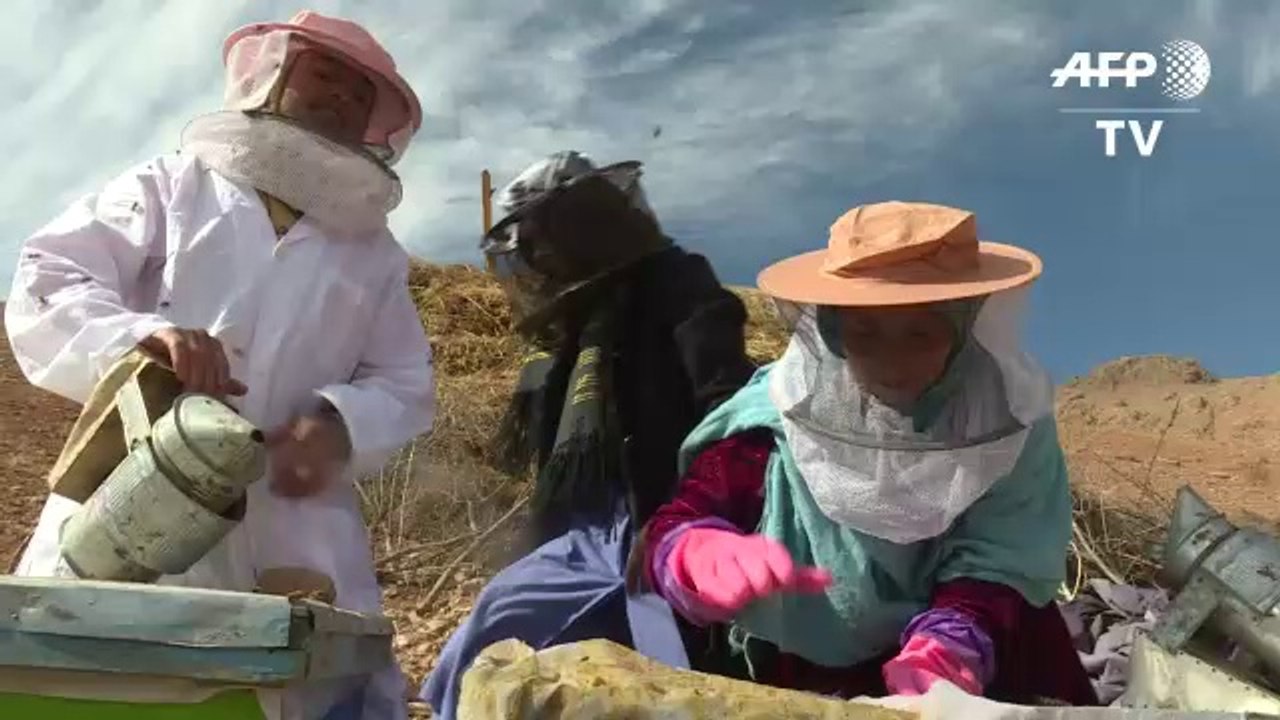 Apiculture en Afghanistan