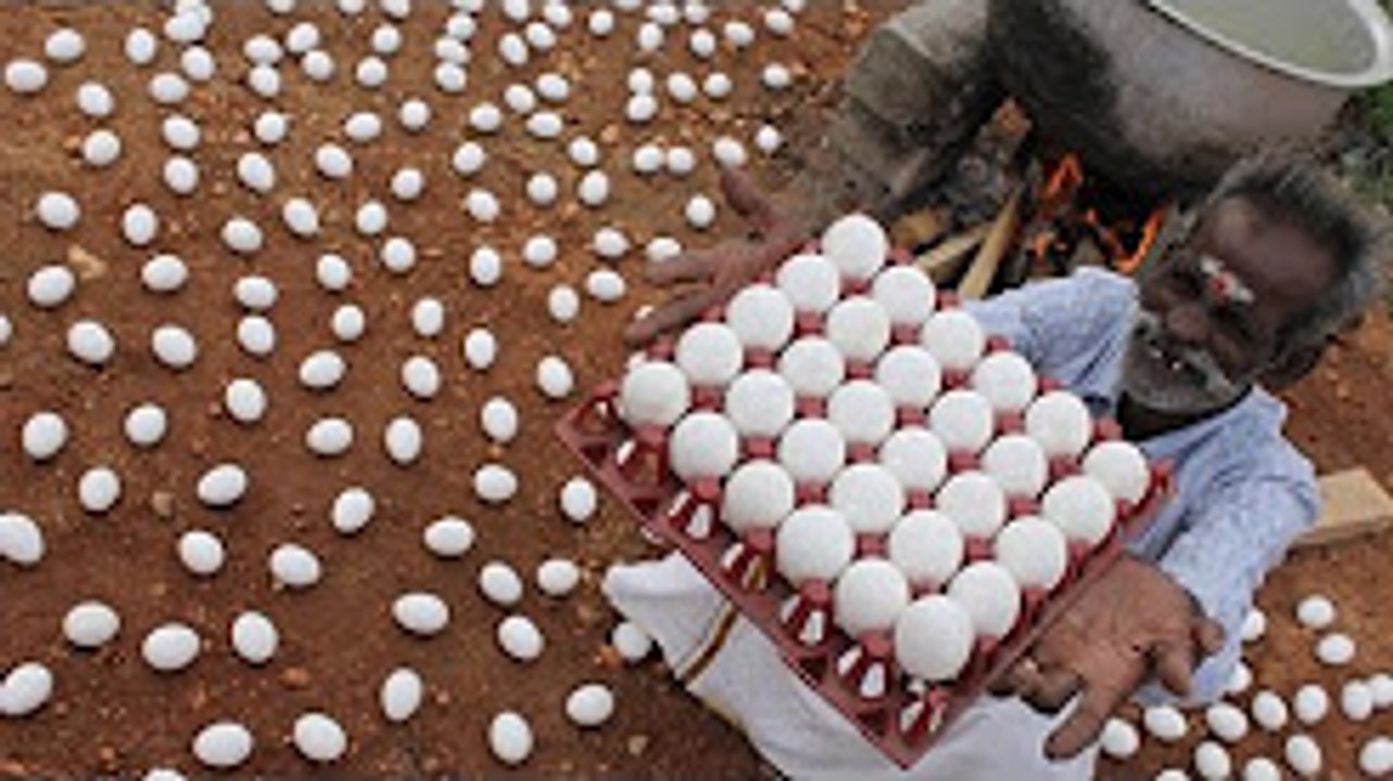EGG Gravy prepared - Using 300 EGGS