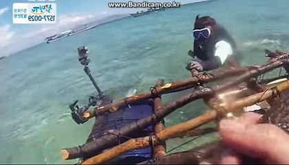 사설토토솔루션【카톡haricuty 스카이프cuty hary】