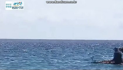 토토솔루션제작【카톡haricuty 스카이프cuty hary】