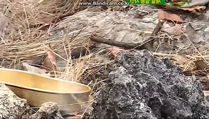 토토솔루션임대,토토솔루션창업,토토솔루션운영,토토솔루션컨설팅,바카라접목 카톡:haricuty스카이프:cuty hary