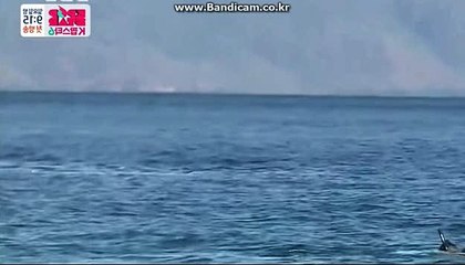 스포츠토토솔루션 판매 올자동 からCOD-SOFT 솔루션 #바카라게임최초도입 (해외서버호스팅,D-Dos방어)