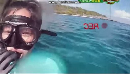 토토솔루션 임대 창업 운영 24시