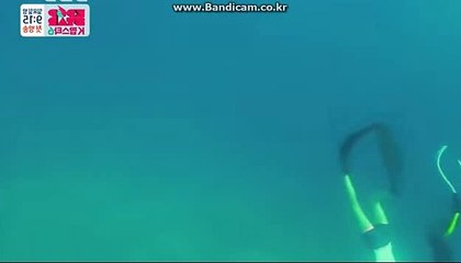 토토솔루션/자동경기및/자동마감/