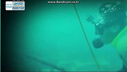 [CODSOFTtotosolution]밸런스전문제작임대해드립니다