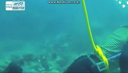 [CODSOFTsolution]각종솔루션제작합니다.