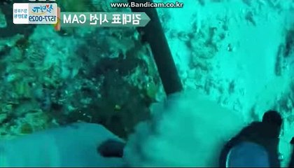 [solution]솔루션전문제작임대업체 카톡:haricuty 스카이프:cuty hary