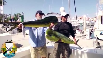 Animal Thug Life Compilation