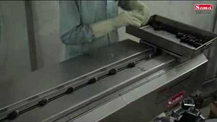 TP – 150 C Horizontal Single Dates Packaging Machine | Sama Engineering