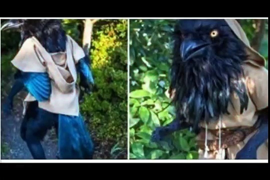 রাস্তায় হেঁটে বেড়াচ্ছে ‘দৈত্য’ দাঁড়কাক!