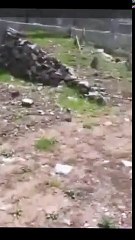 Ayesha khan call prank