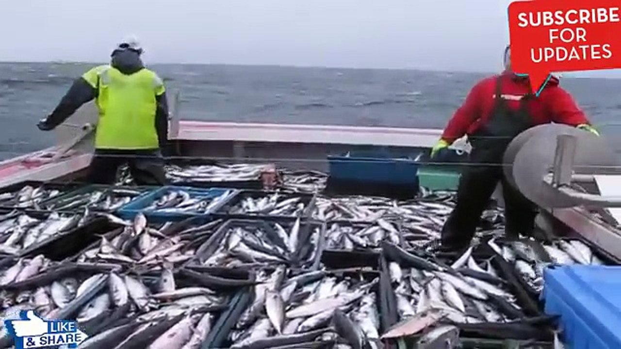 আজব দেশের আজব ভাবে মাছ ধরা দেখুন