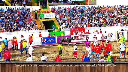 Toros a la Tica 28 Diciembre