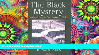 Read Online The Black Mystery: Coal-Mining in South-West Wales Ronald Rees Full Book