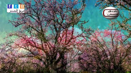 حكم تخصيص ليلة رأس السنة بالعبادة والقيام