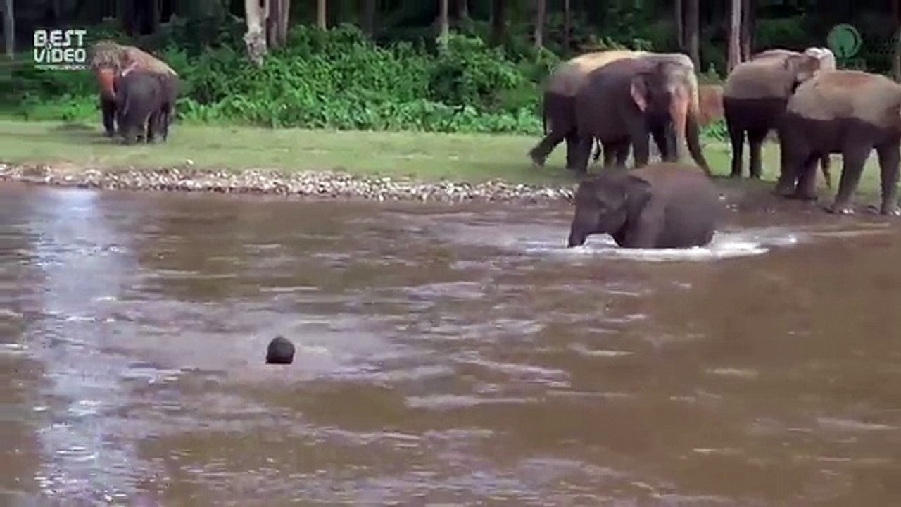 Социальный эксперимент на равнодушие