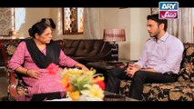 Haal-e-Dil Ep 67 - on Ary Zindagi in High Quality 29th December 2016