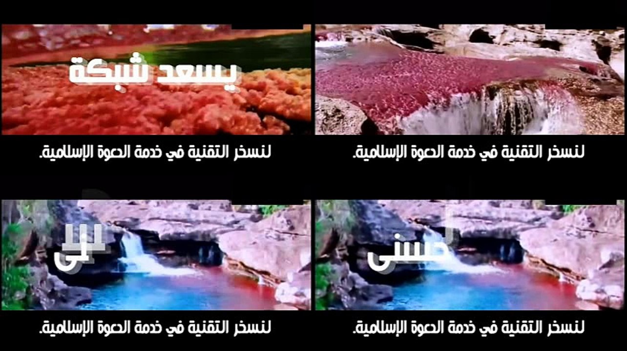 س.ج- حكم بيع البيرة ~ الشيخ صالح المنجد.