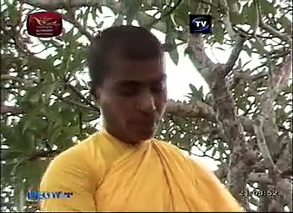 Tharadevi18